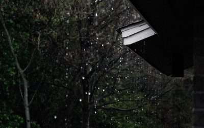The Importance of Waterproofing Your Basement